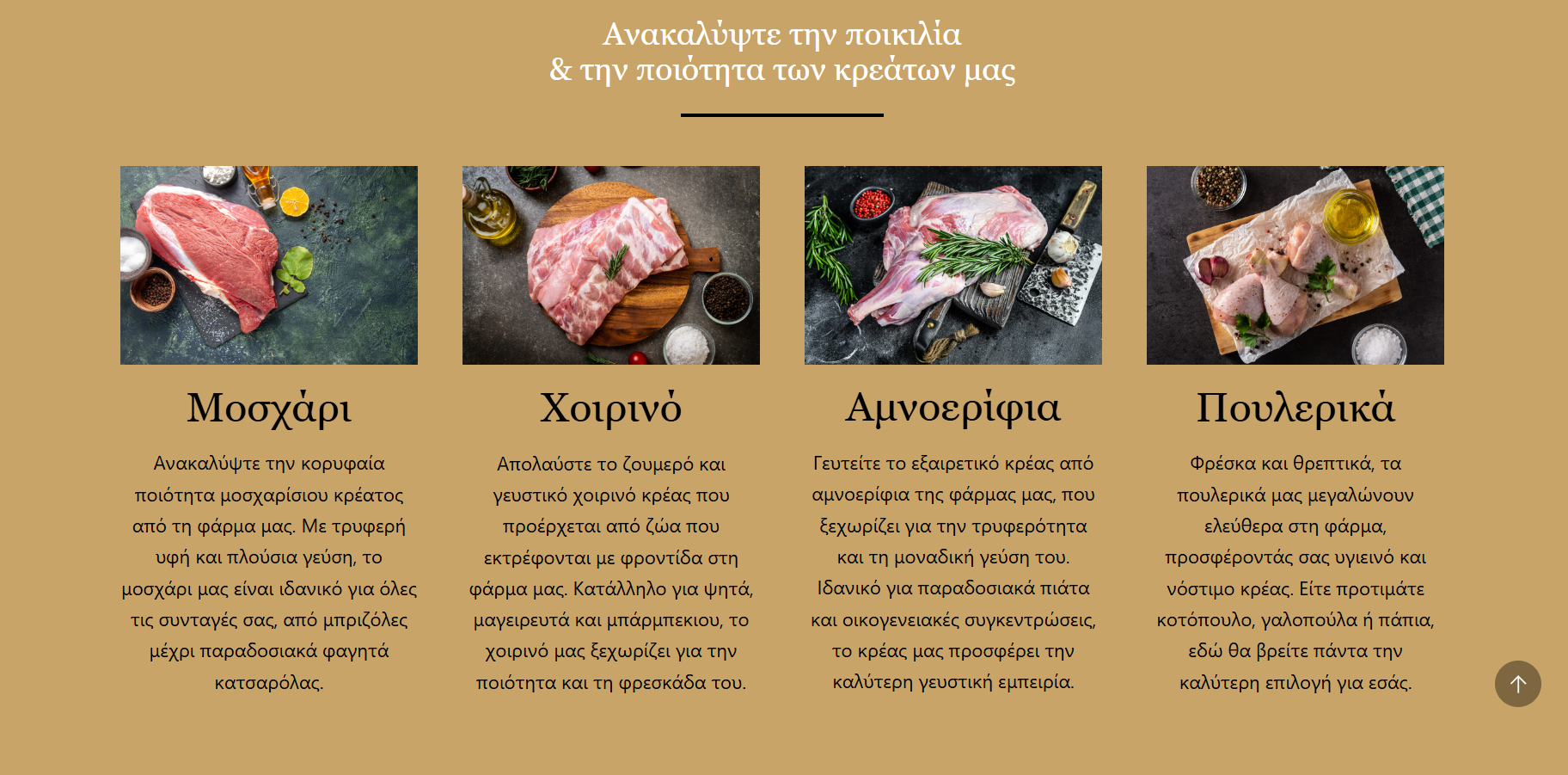 Website Κρεοπωλείου/Butcher Shop 1