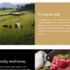 Website Κρεοπωλείου/Butcher Shop 1