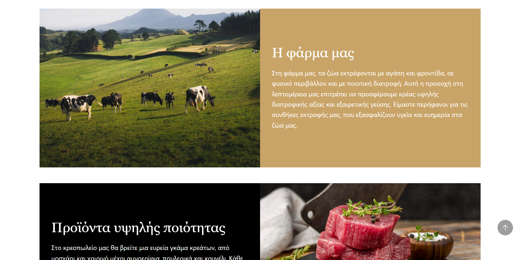 Website Κρεοπωλείου/Butcher Shop 1
