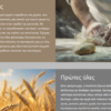 Website Bakery 1